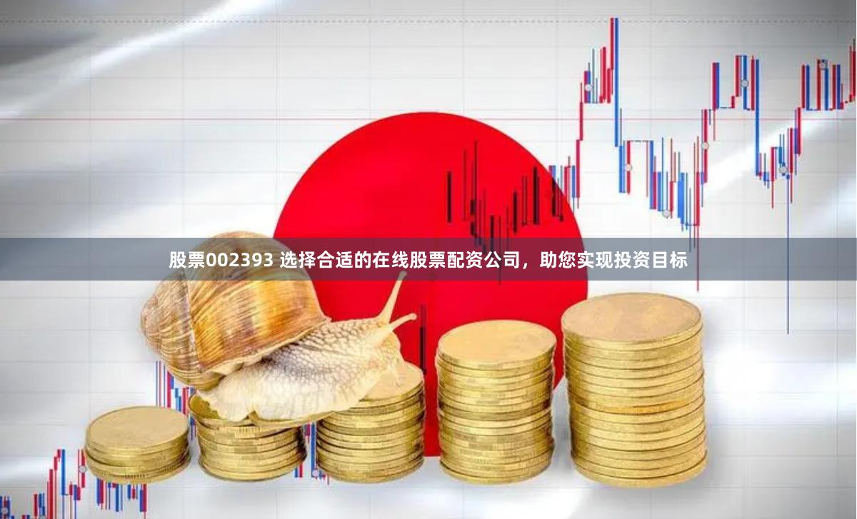 股票002393 选择合适的在线股票配资公司，助您实现投资目标