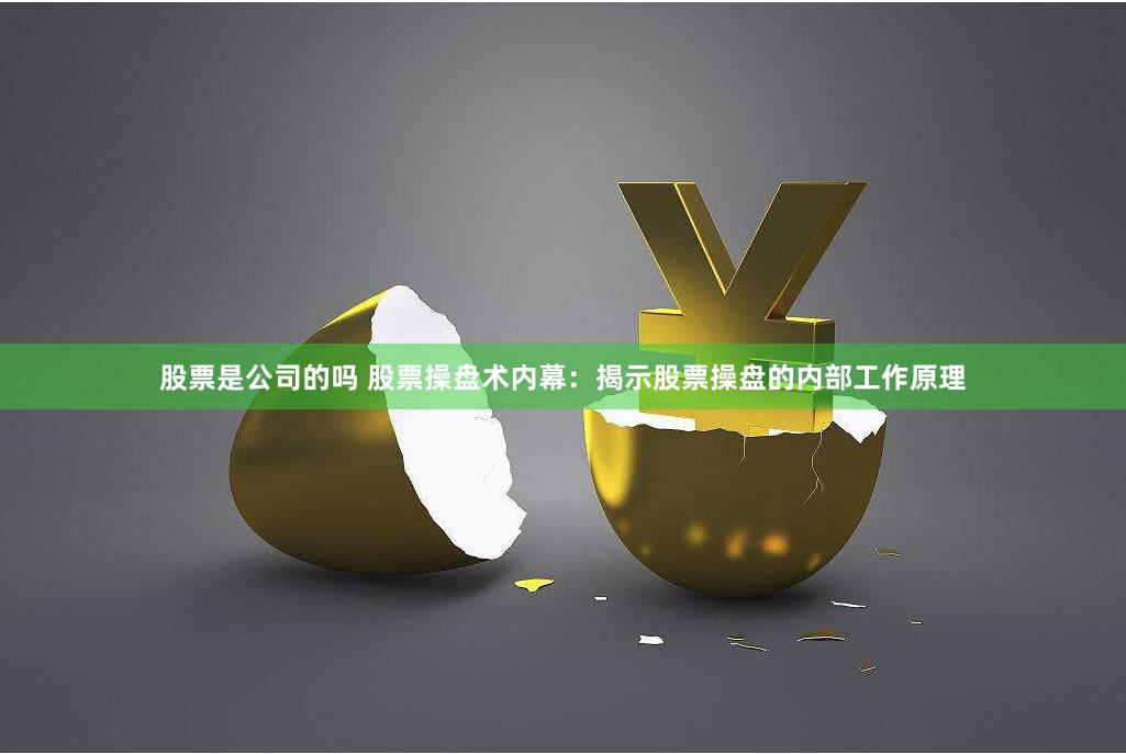 股票是公司的吗 股票操盘术内幕：揭示股票操盘的内部工作原理