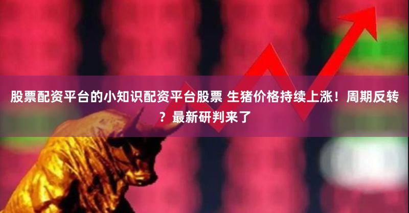股票配资平台的小知识配资平台股票 生猪价格持续上涨！周期反转？最新研判来了