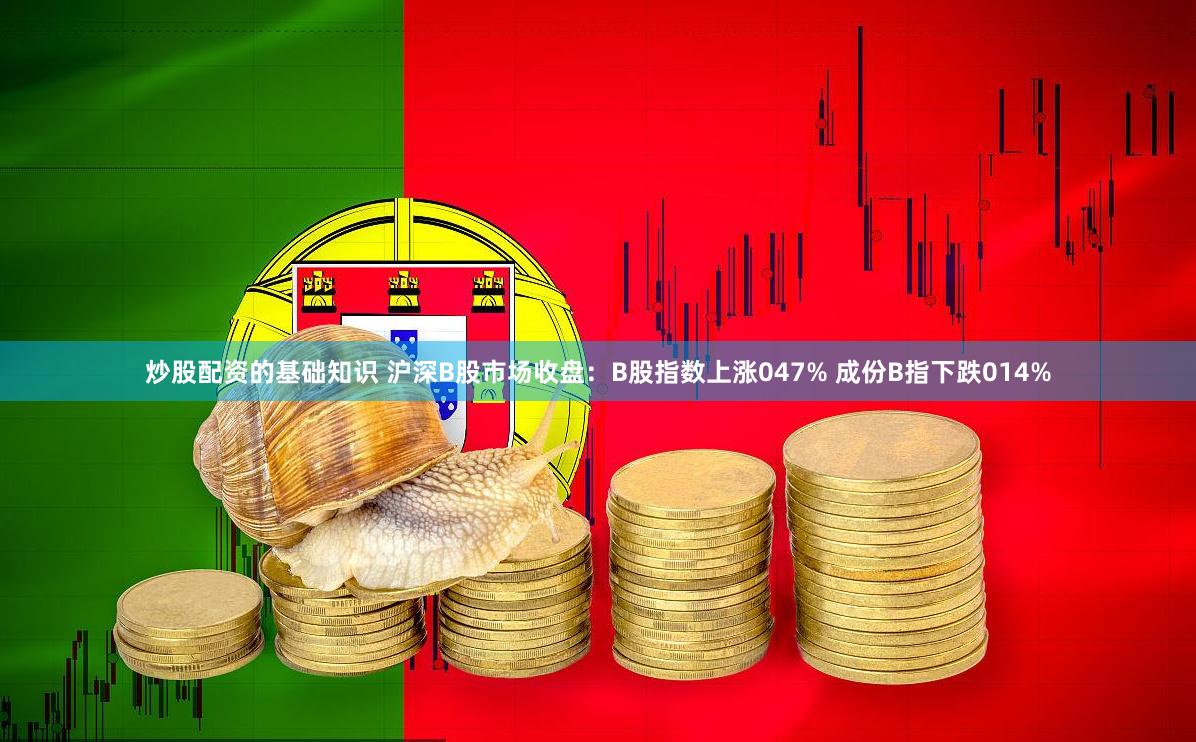 炒股配资的基础知识 沪深B股市场收盘：B股指数上涨047% 成份B指下跌014%