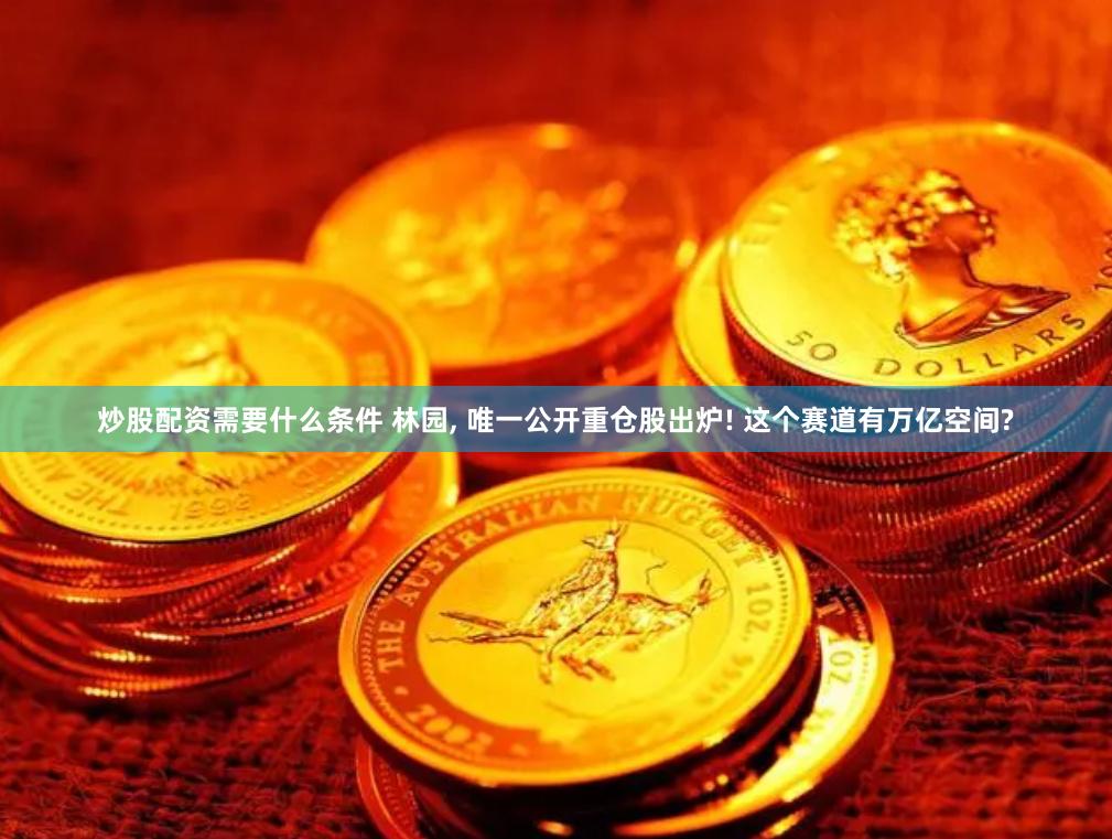 炒股配资需要什么条件 林园, 唯一公开重仓股出炉! 这个赛道有万亿空间?