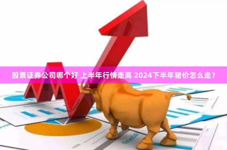 股票证券公司哪个好 上半年行情走高 2024下半年猪价怎么走？