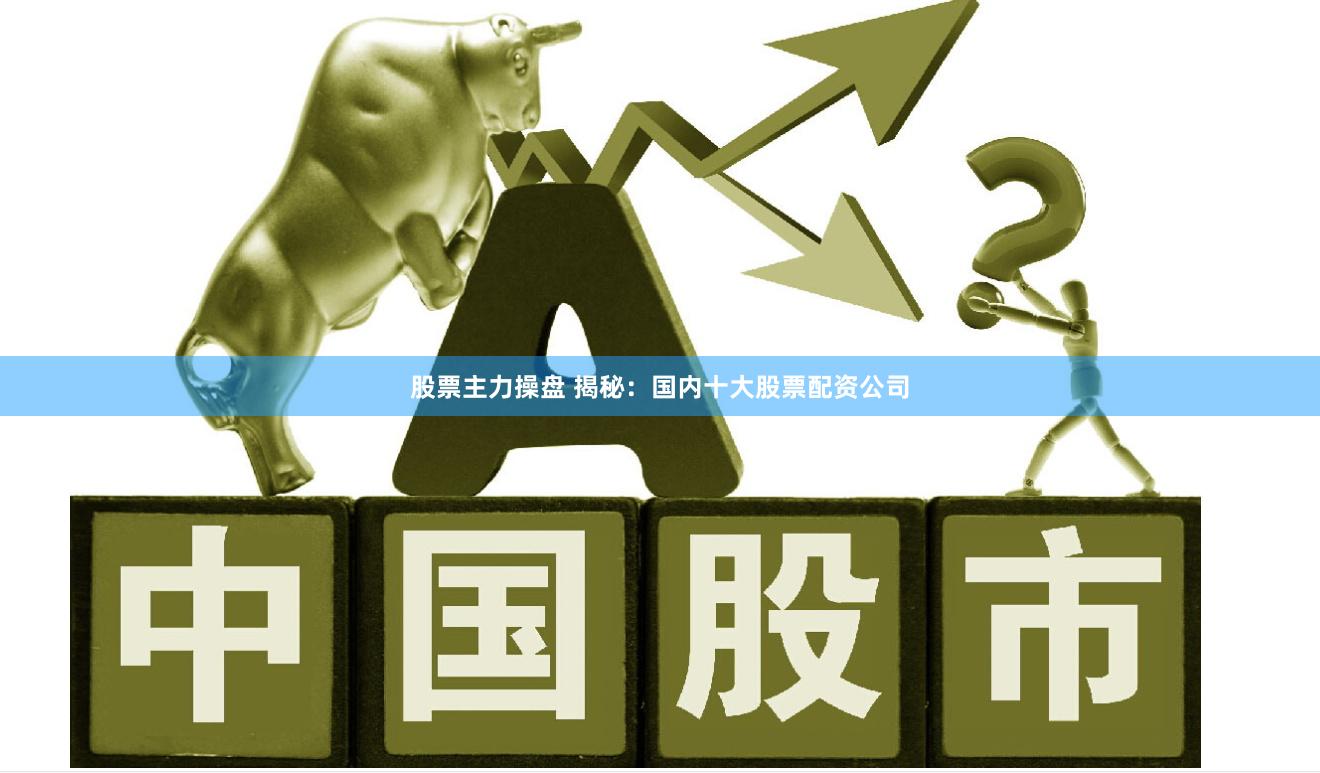 股票主力操盘 揭秘：国内十大股票配资公司