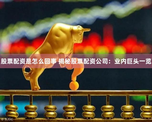 股票配资是怎么回事 揭秘股票配资公司：业内巨头一览