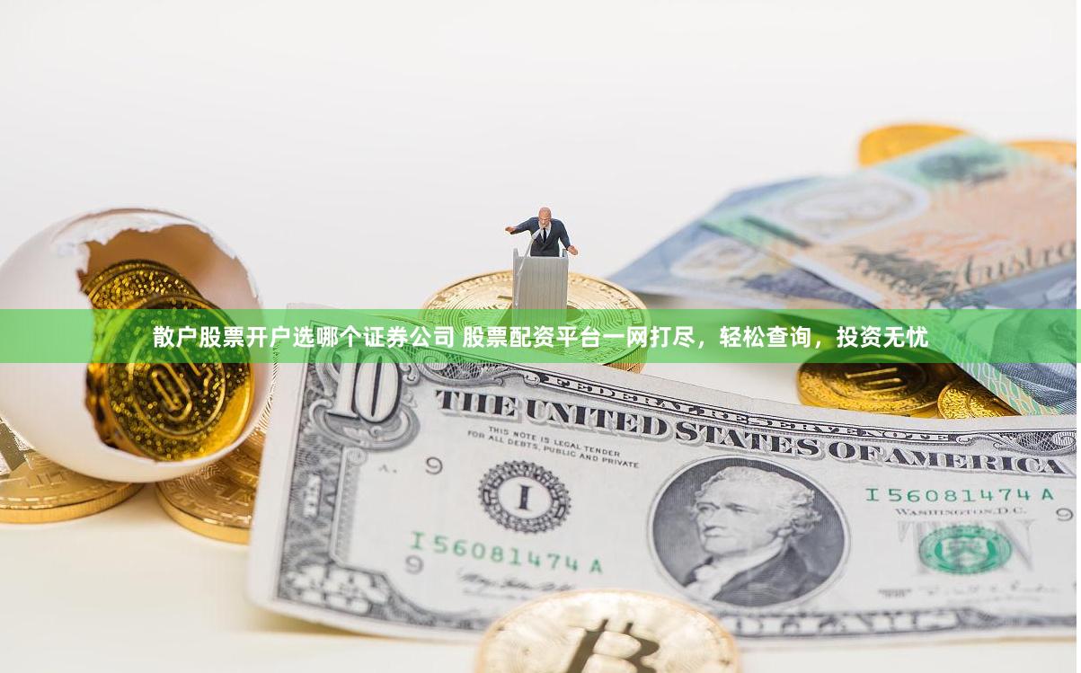 散户股票开户选哪个证券公司 股票配资平台一网打尽，轻松查询，投资无忧